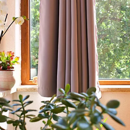 Apartment Kanegra Umag