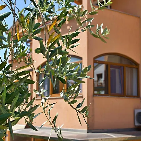 Appartement Kanegra *