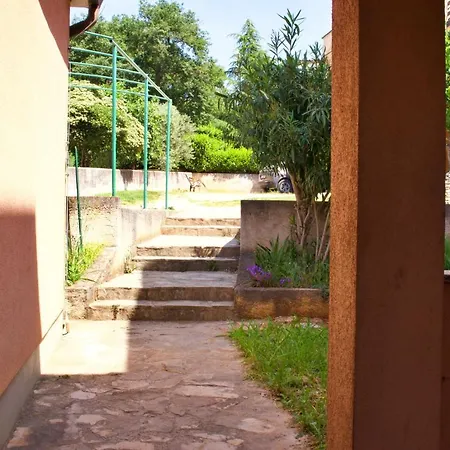 Kanegra * Умаг