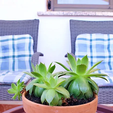 Kanegra Apartamento *